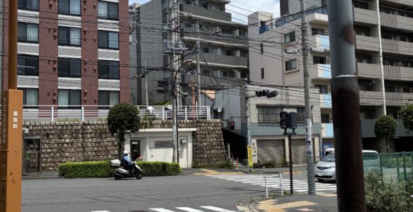 梅雨明け前、晴れた日の公園清掃。