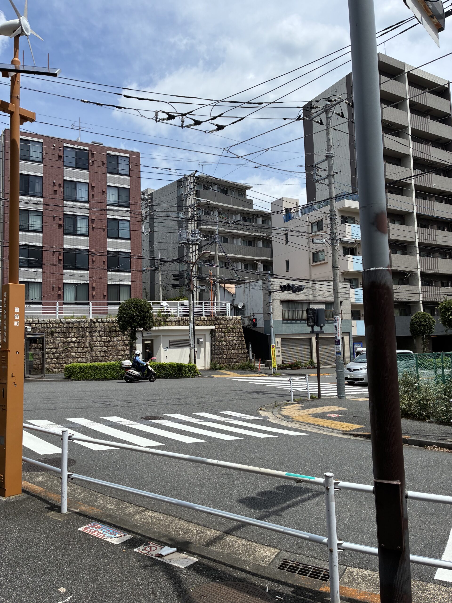 梅雨明け前、晴れた日の公園清掃。